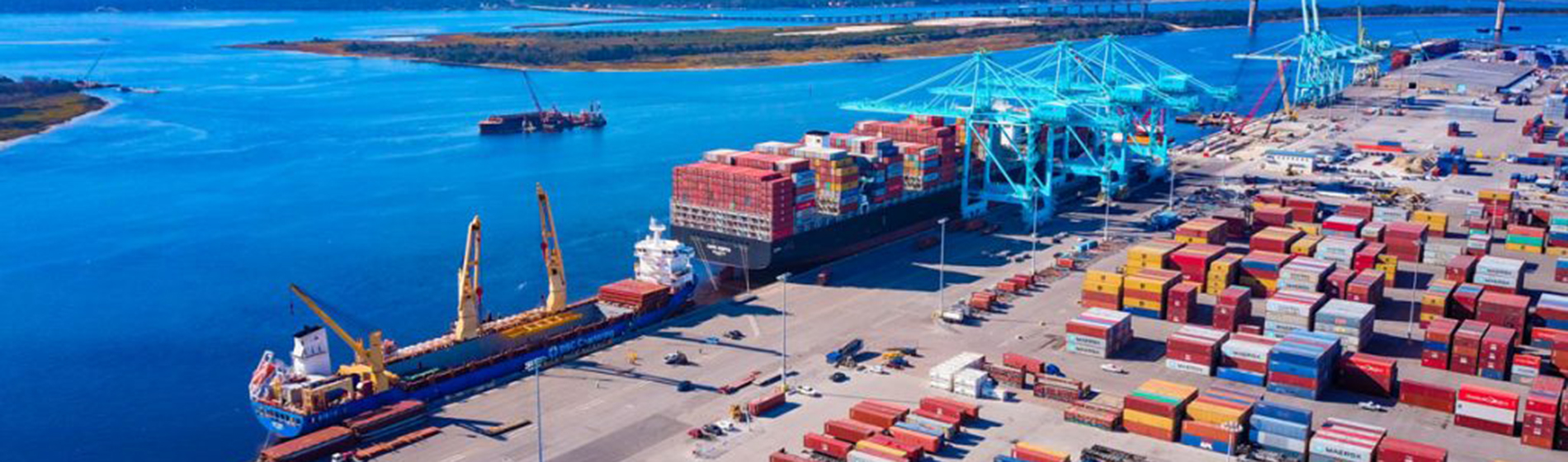 SSA Marine  JAXPORT港湾物流視察